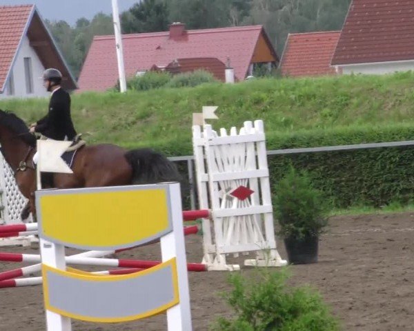 Reitturnier Sachendorf 2022
