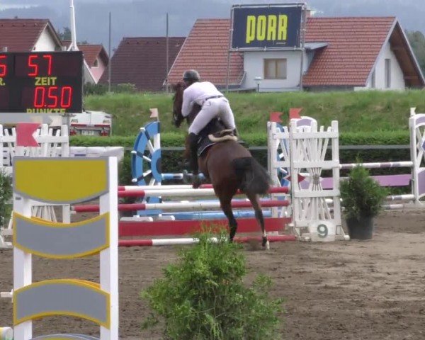 Reitturnier Sachendorf 2022