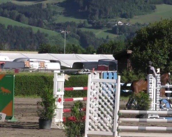 Reitturnier Sachendorf 2022