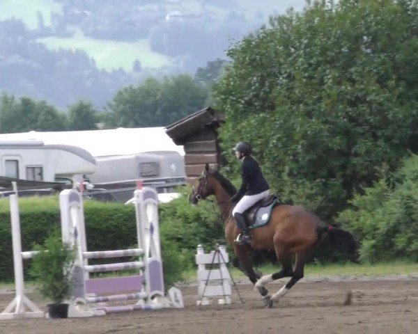 Reitturnier Sachendorf 2022