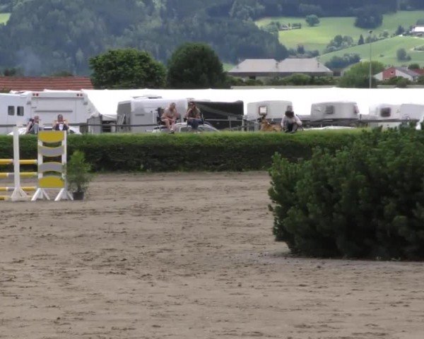 Reitturnier Sachendorf 2022