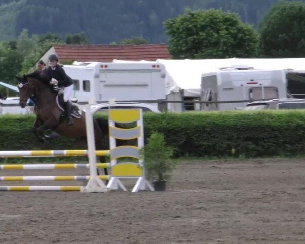 Reitturnier Sachendorf 2022
