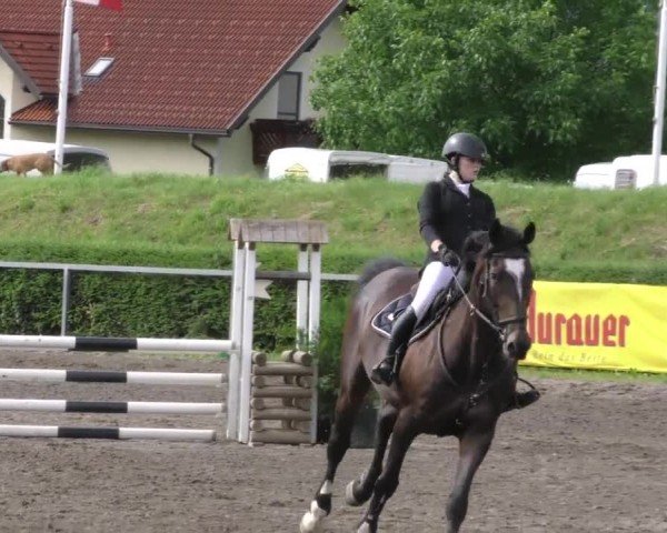 Reitturnier Sachendorf 2022