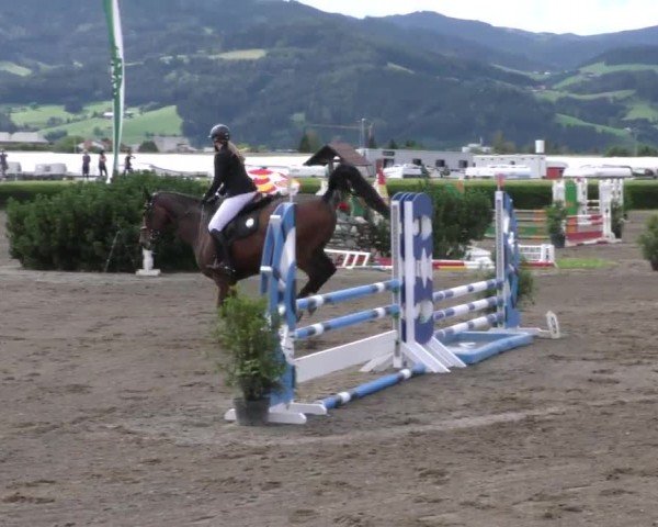 Reitturnier Sachendorf 2022