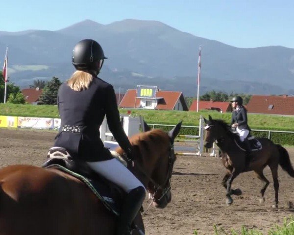 Reitturnier Sachendorf 2022