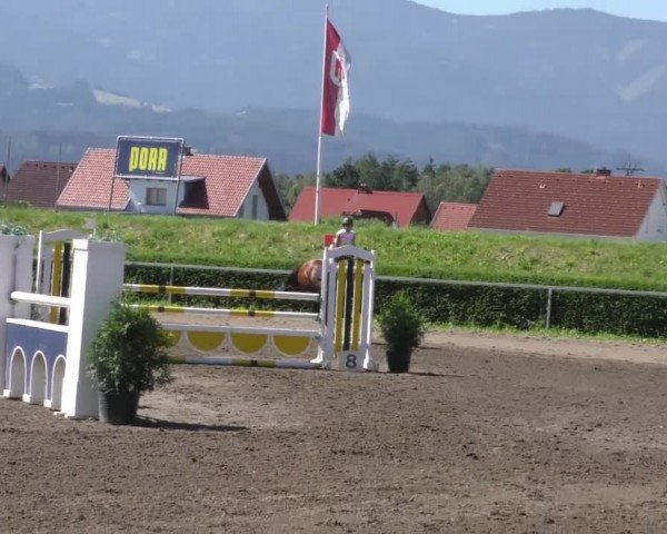 Reitturnier Sachendorf 2022