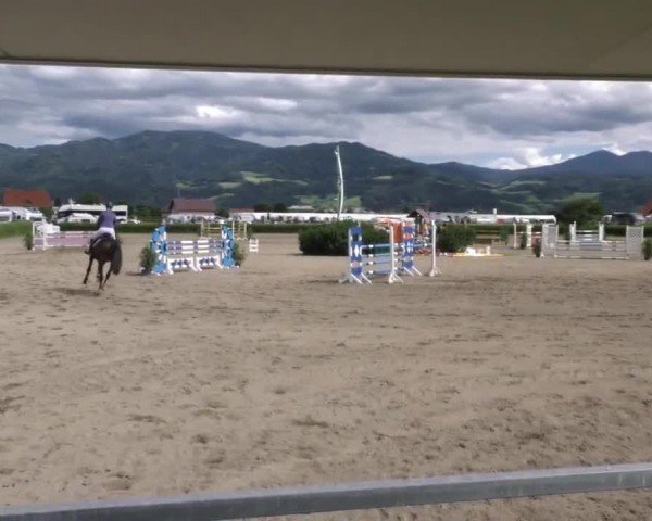 Reitturnier Sachendorf 2022
