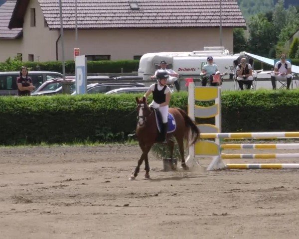 Reitturnier Sachendorf 2022