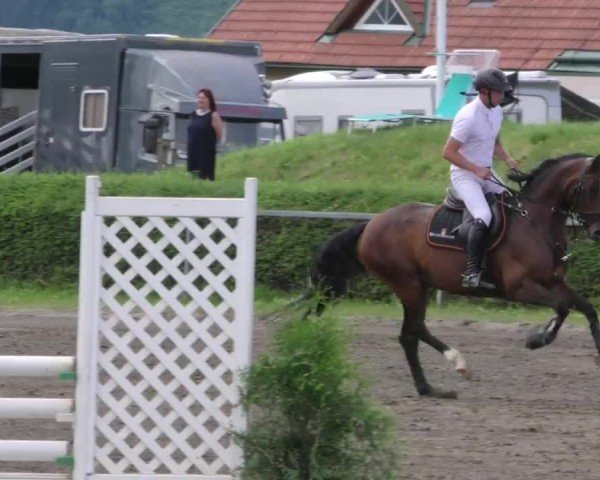Reitturnier Sachendorf 2022