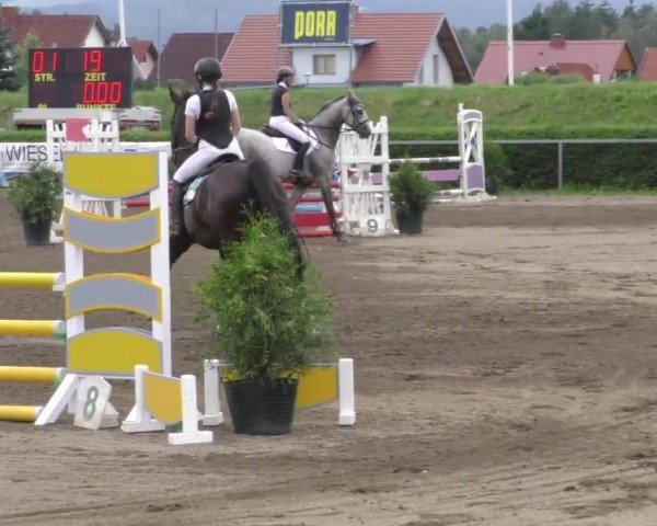 Reitturnier Sachendorf 2022