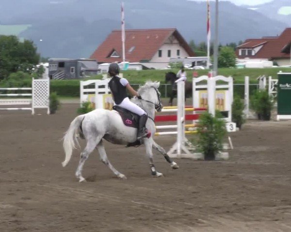 Reitturnier Sachendorf 2022
