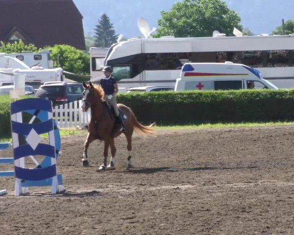 Reitturnier Sachendorf 2022