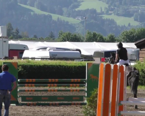 Reitturnier Sachendorf 2022