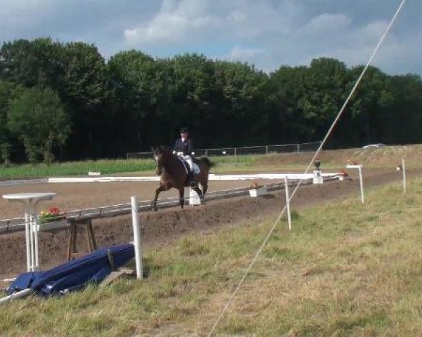 Weser Ems Meisterschaften Cloppenburg 2012