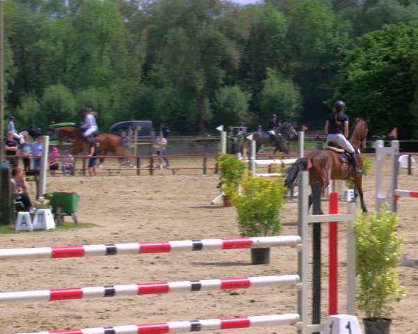 Reitturnier Dorsten 2024