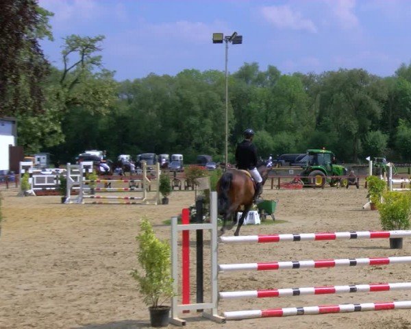 Reitturnier Dorsten 2024