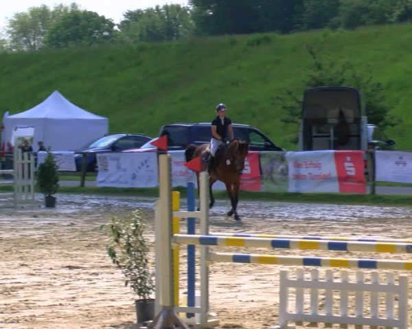 Reitturnier Dorsten 2024