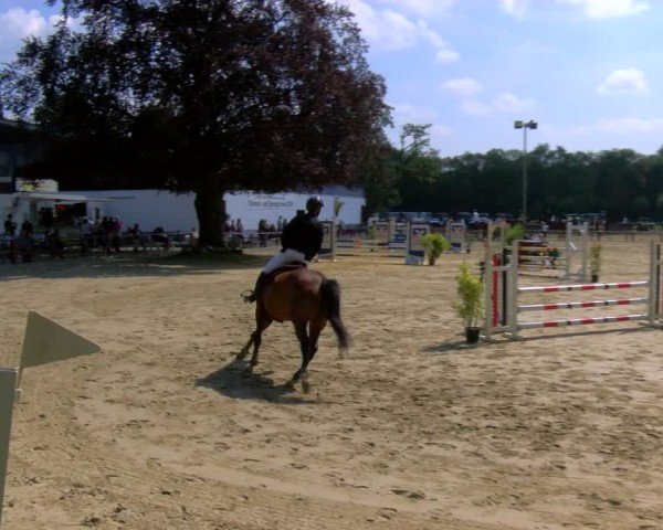 Reitturnier Dorsten 2024