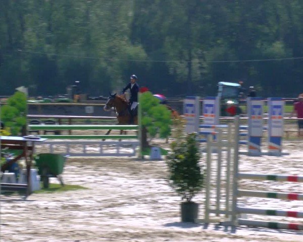 Reitturnier Dorsten 2024