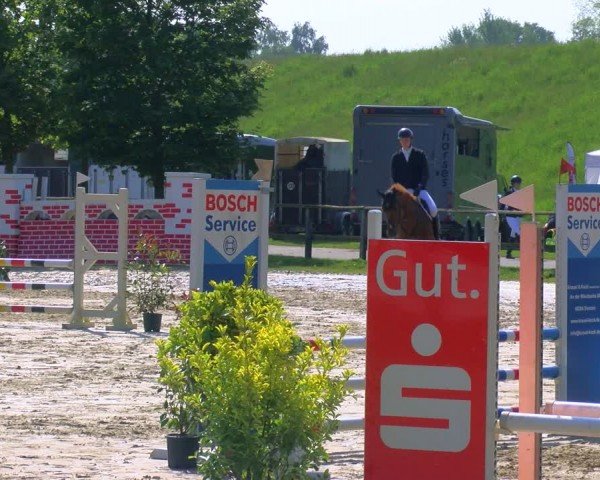 Reitturnier Dorsten 2024