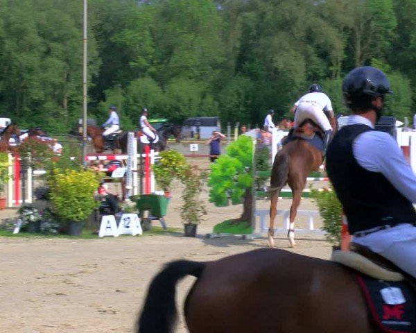Reitturnier Dorsten 2024