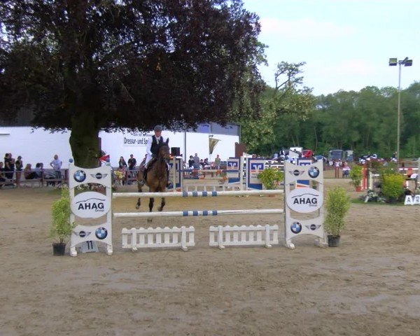 Reitturnier Dorsten 2024