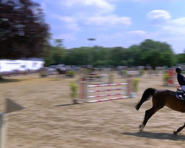 Reitturnier Dorsten 2024