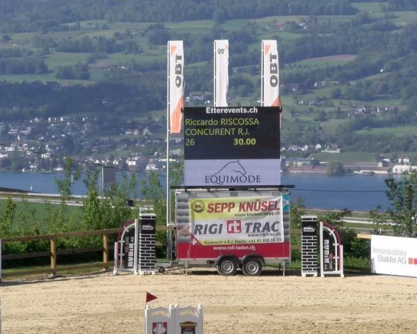 Reitturnier Wädenswil 2024