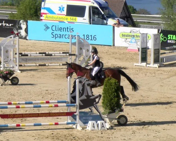 Reitturnier Wädenswil 2024