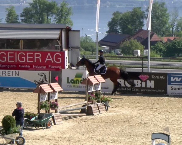 Reitturnier Wädenswil 2024