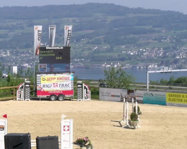 Reitturnier Wädenswil 2024