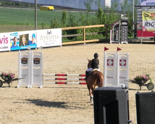 Reitturnier Wädenswil 2024