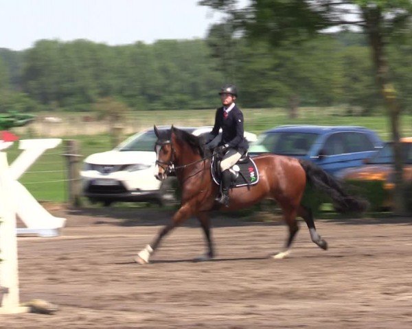 Reitturnier Lentzke - Reitanlage Krehl 2024