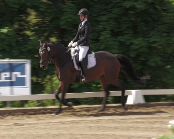 Reitturnier Teupitz 2024