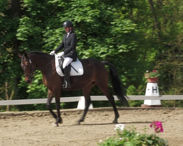 Reitturnier Teupitz 2024