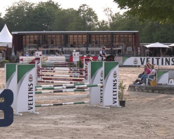 Reitturnier Hellefeld 2024