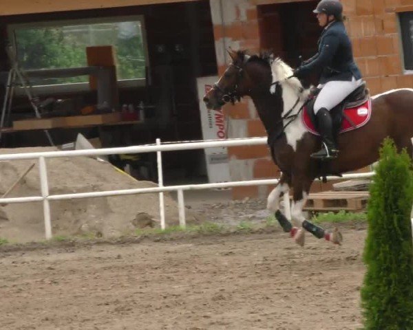 Reitturnier Dachberg 2022