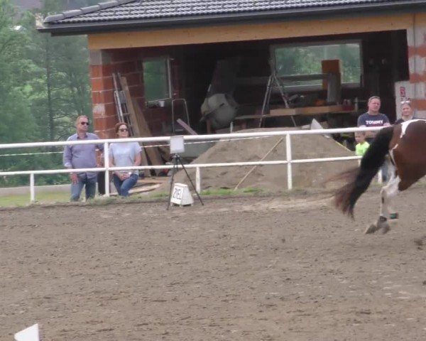 Reitturnier Dachberg 2022