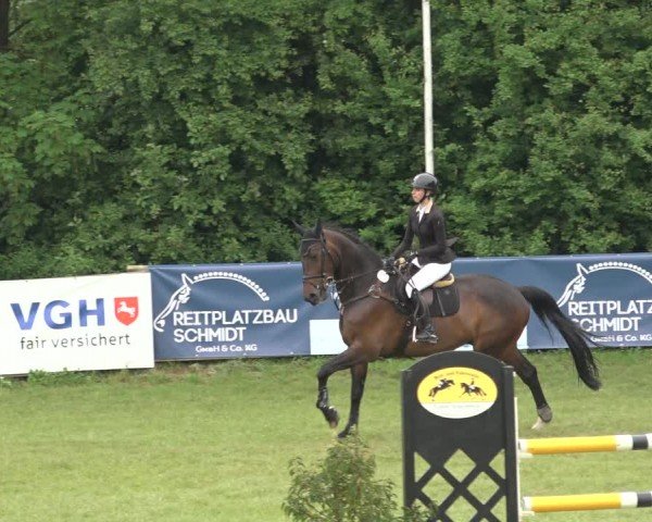 Reitturnier Scharnebeck 2024