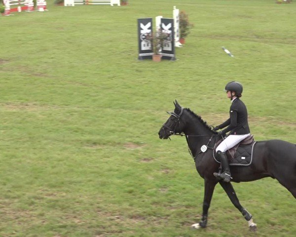 Reitturnier Scharnebeck 2024