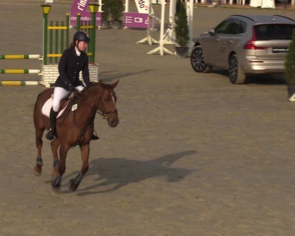 Reitturnier Hamm-Rhynern 2024