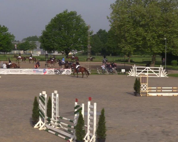Reitturnier Hamm-Rhynern 2024