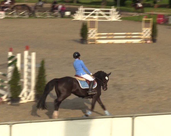 Reitturnier Hamm-Rhynern 2024
