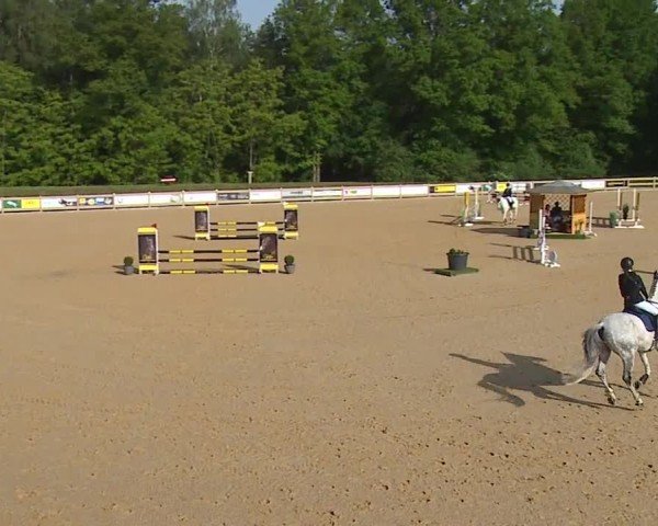 Reitturnier Tiefenhof/Opf. 2024