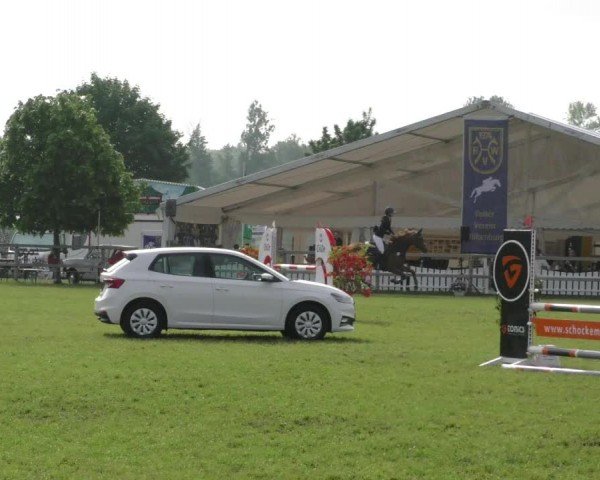 Reitturnier Wilkenburg 2024