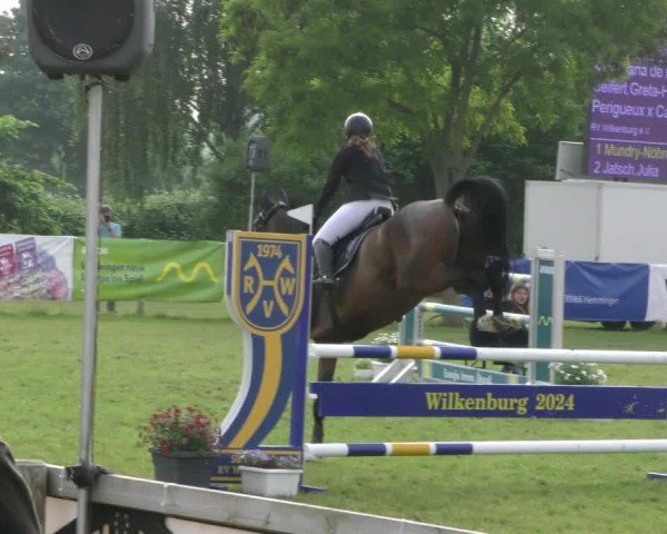 Reitturnier Wilkenburg 2024