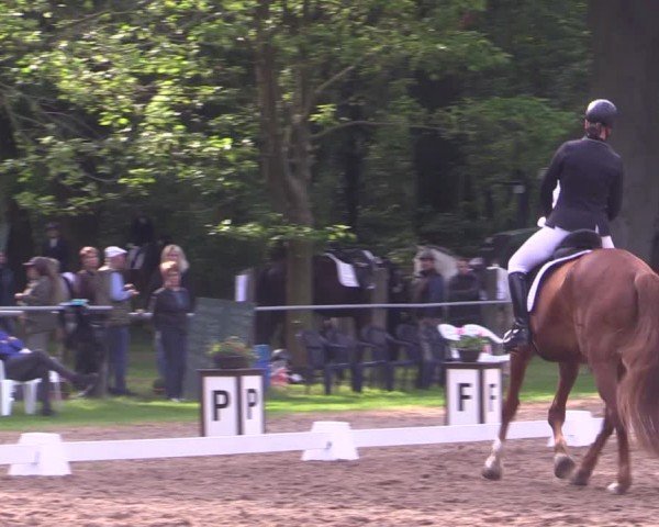 Reitturnier Helmsdorf 2024