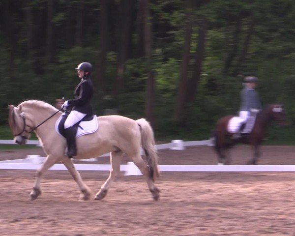 Reitturnier Helmsdorf 2024