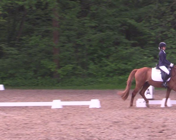 Reitturnier Helmsdorf 2024