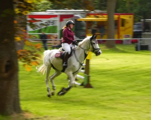 Reitturnier Helmsdorf 2024